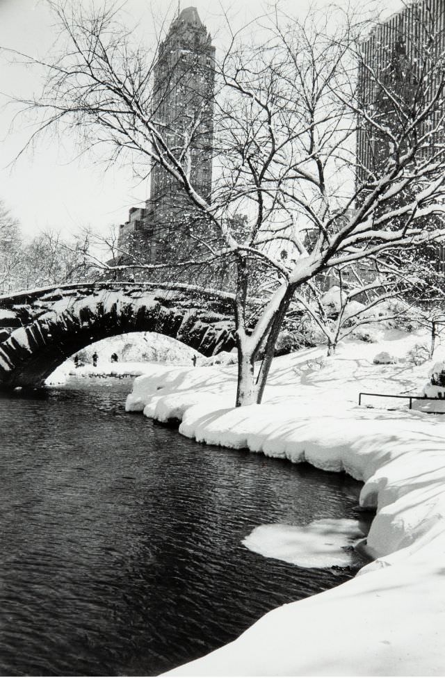 Central Park after snow storm, 1959.