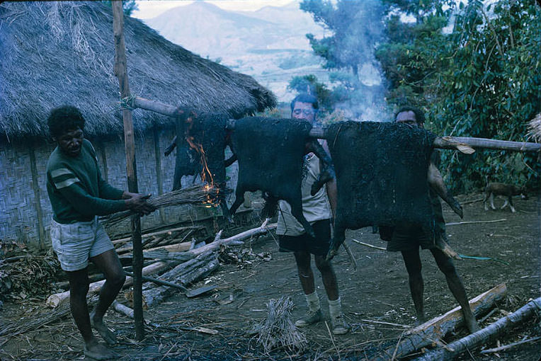 Fabulous Photos Show Life in Papua New Guinea in the 1970s