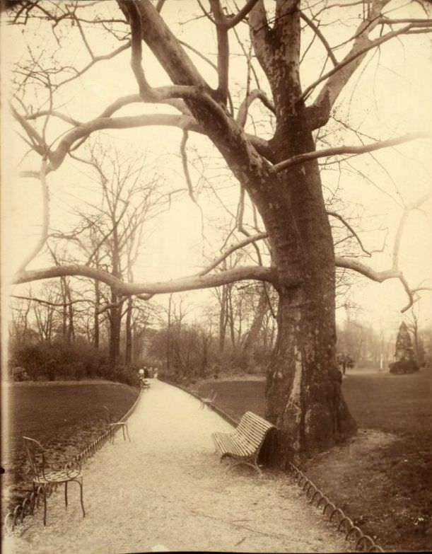 Parc Monceau, 1901-02.