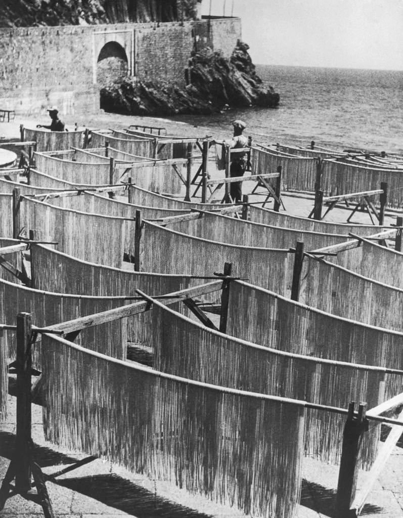 Spaghetti drying on racks, known as 'spaghetti horses', on a beach near Amalfi, Italy, September 1949.