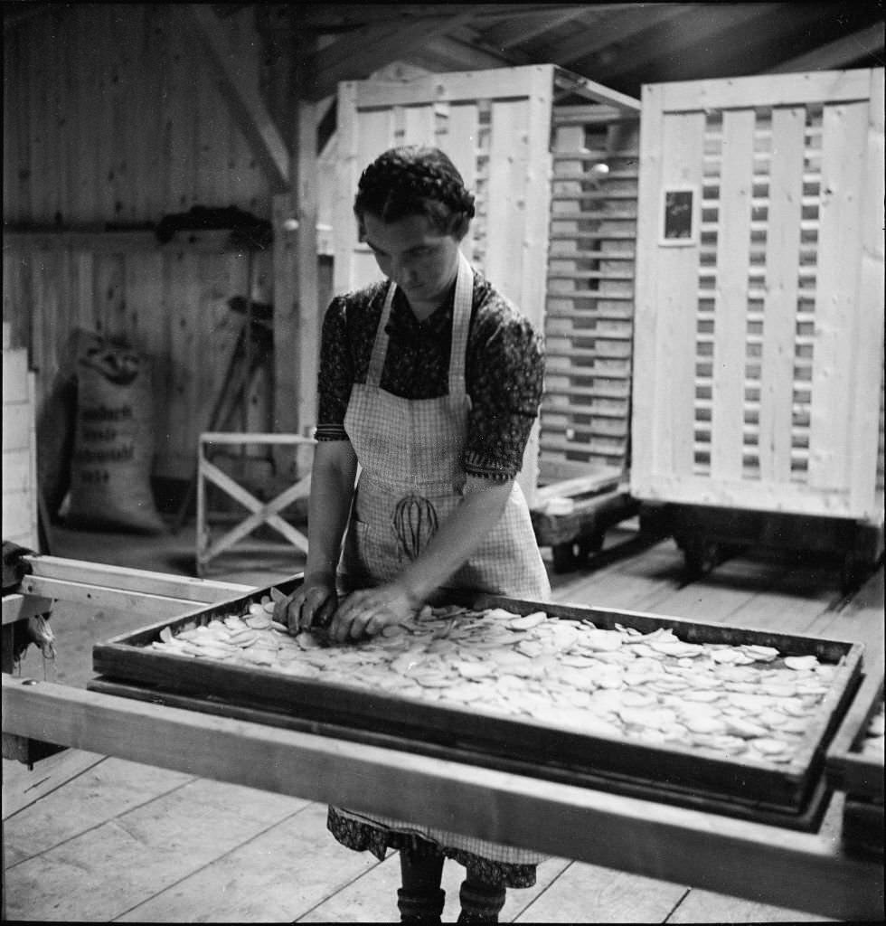 Processing of potatoes in pasta factory, 1941