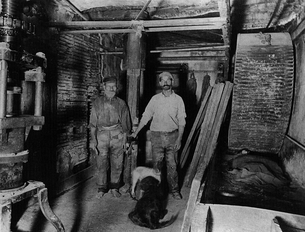 Italian emigrants of the early twentieth century. Pasta factory in New York, 1905.