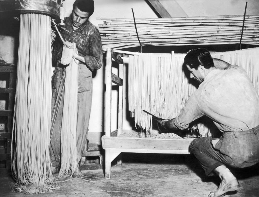 The wet dough, coming out of the machine, is cut and left to dry, during the manufacture of spaghetti, in Italy.