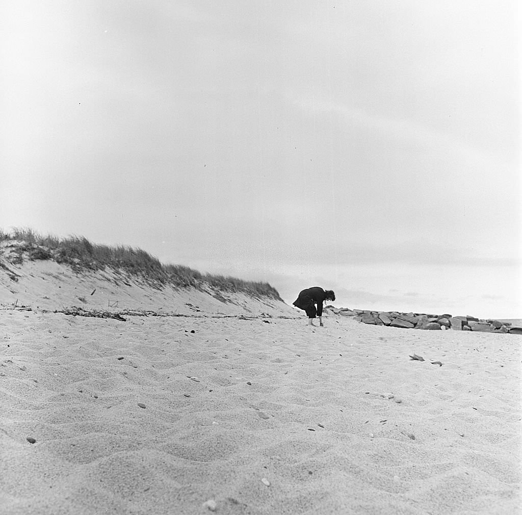 View of a woman combing the beach, Provincetown, Massachusetts, 1948.