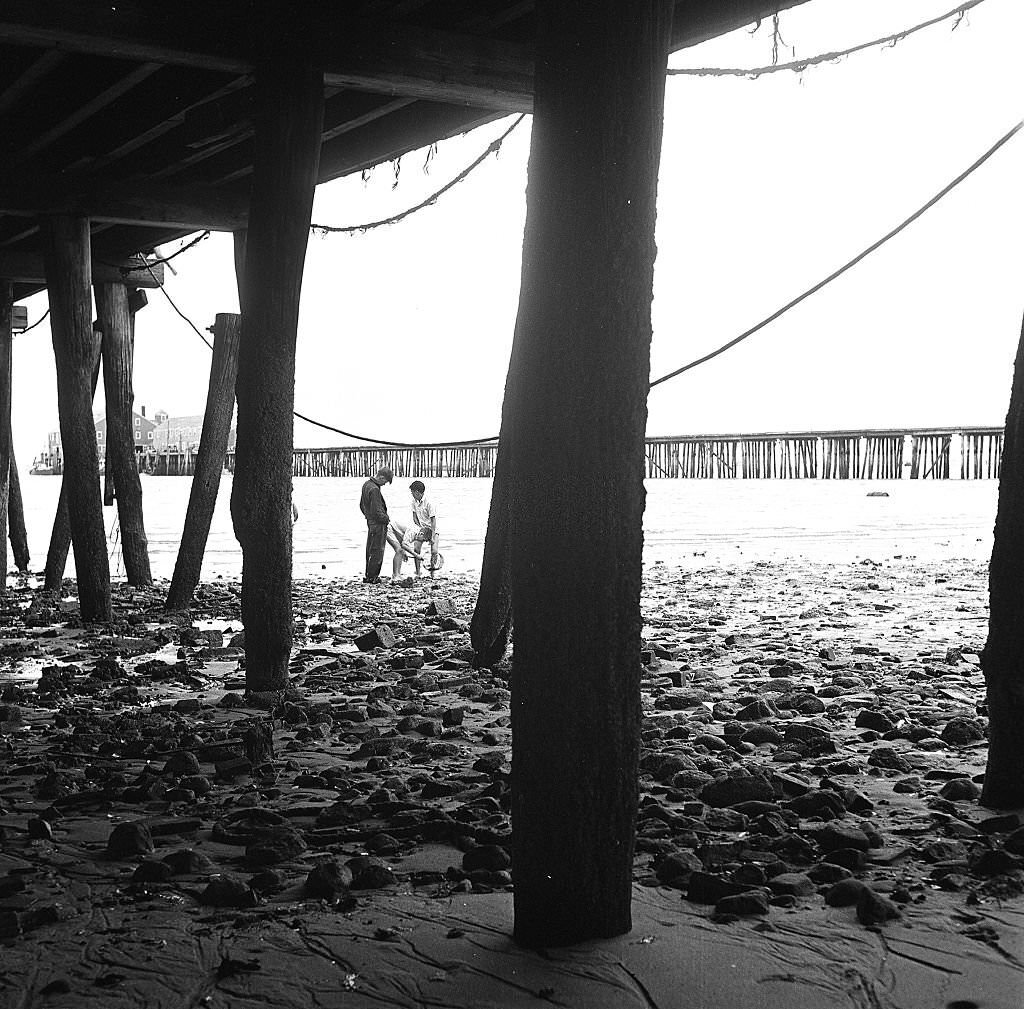 View, from beneath the pier, of three boys combing the beach, Provincetown, Massachusetts, 1948.