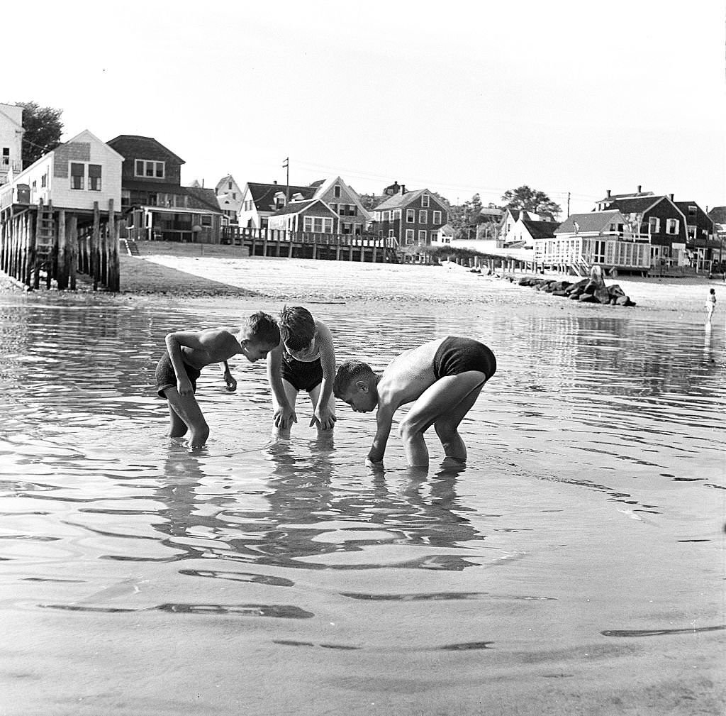 Three boys look down to examine something in the water, Provincetown, Massachusetts, 1948.