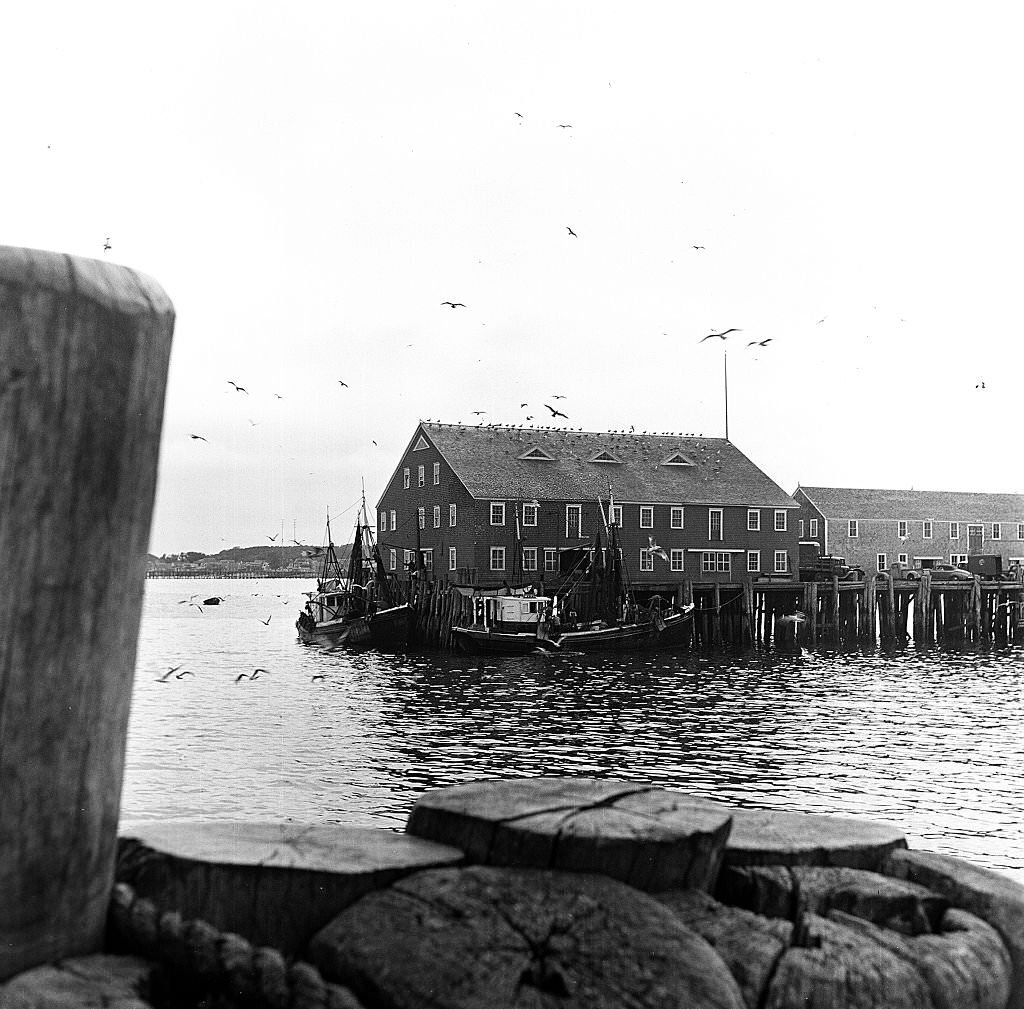 View of buildings along the pier, Provincetown, Massachusetts, 1948.