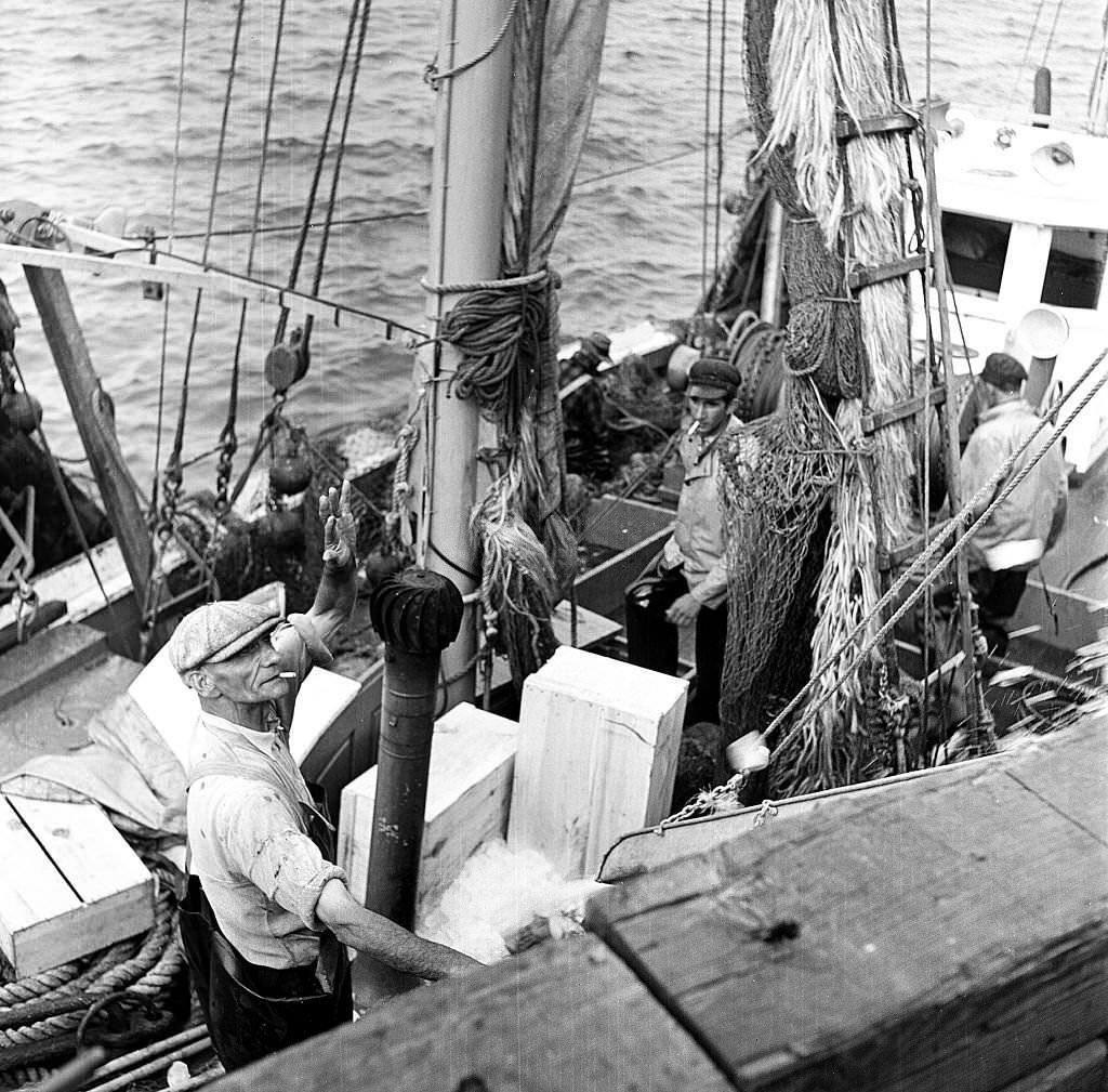 View of fishermen at the docks, Provincetown, Massachusetts, 1948.
