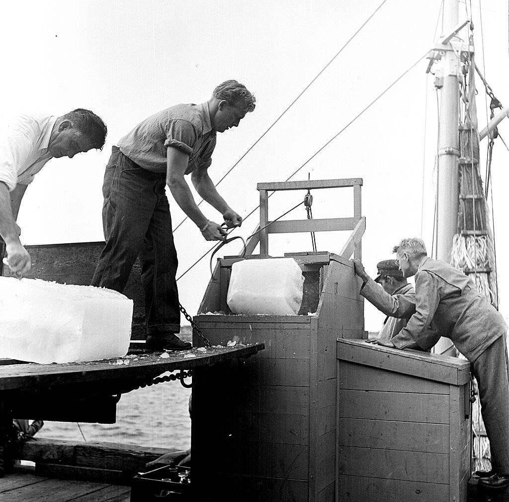 View of fishermen at the docks, Provincetown, Massachusetts, 1948.