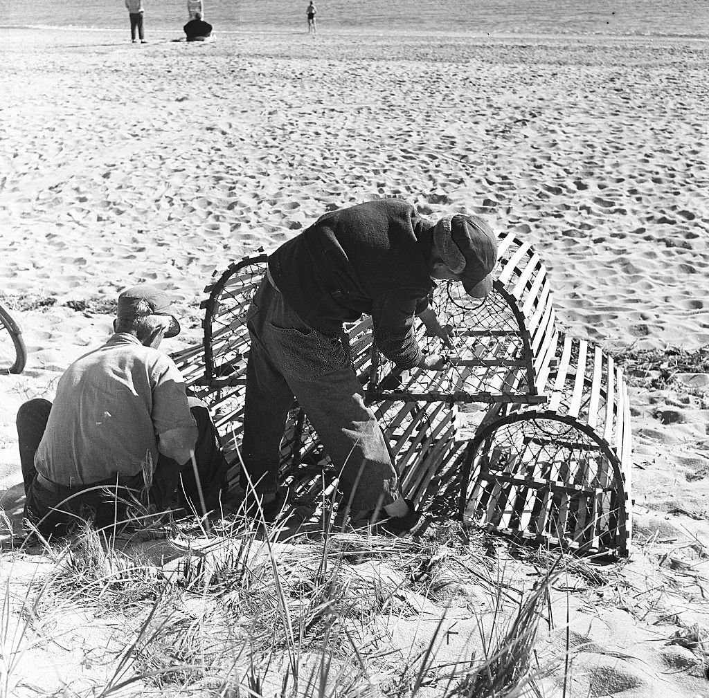 Two men adjust the nets on a lobster trap on the beach on Cape Cod, Provincetown, Massachussetts, 1947.