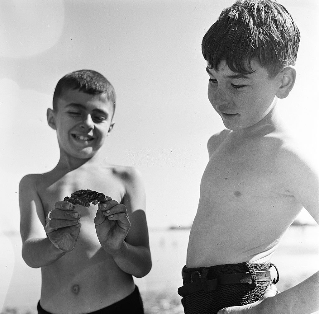 Boys examine a crab on the beach on Cape Cod, Provincetown, Massachussetts, 1947.
