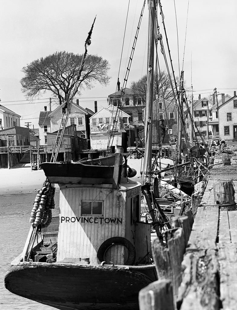 Portuguese fishing boats beached for repairs. Provincetown, Massachusetts, Spring 1942.
