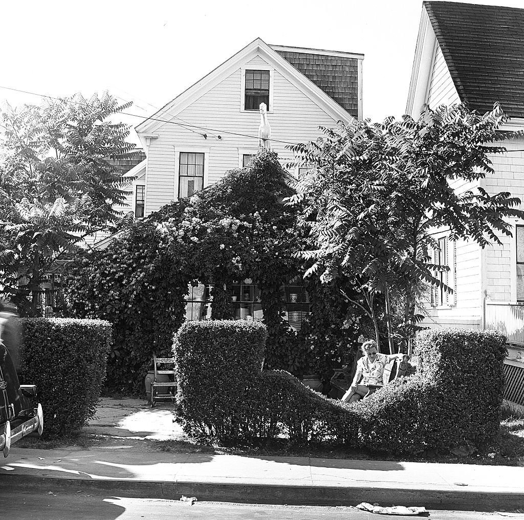 A visitor relaxes outside on the grounds of an antique shop, Provincetown, Massachusetts, 1948.