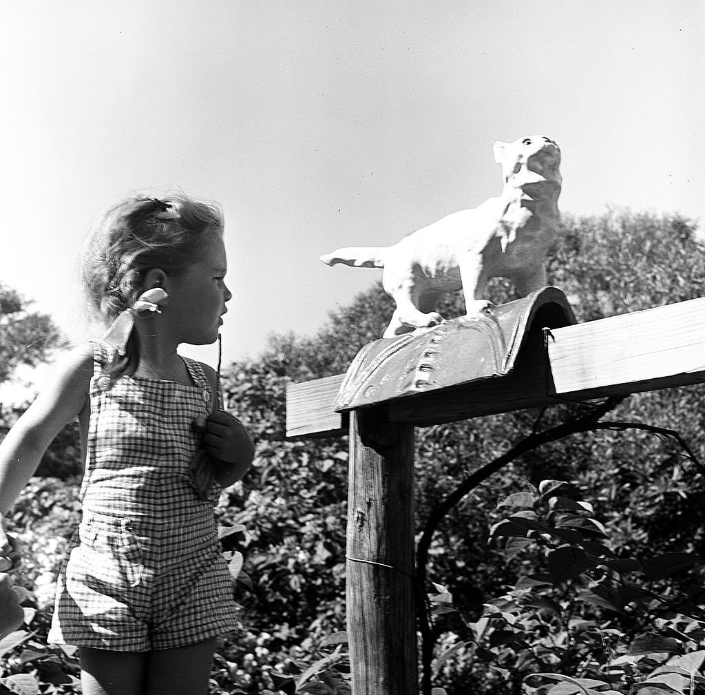 A young girl looks at a ceramic cat sculpture at an antique shop, Provincetown, Massachusetts, 1948.