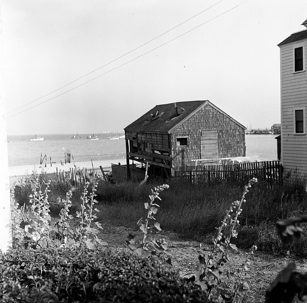 View of houses on the shore, with boats in the distance, Provincetown, Massachusetts, 1948.