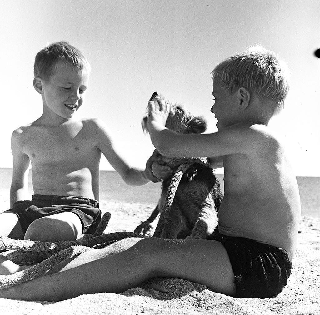 Two boys play with their dog on the beach on Cape Cod, Provincetown, Massachussetts, 1947.