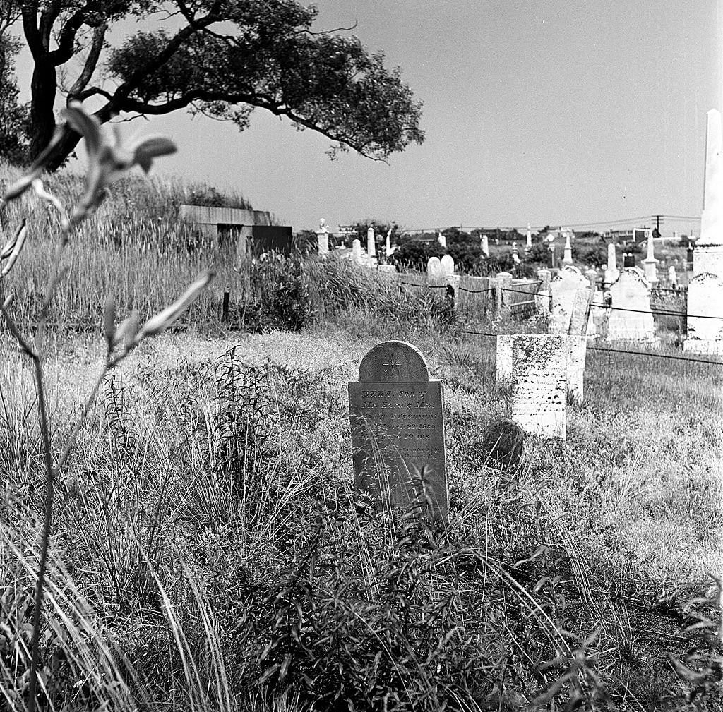 View of the cemetery, Provincetown, Massachusetts, 1948.