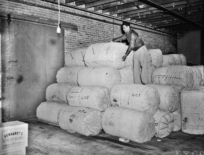Isadore Garibay with 500-pound sacks of chili pods, 1940