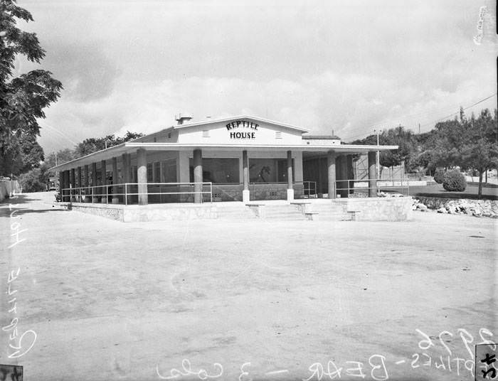 Exterior of Reptile House at San Antonio Zoo, San Antonio, 1942