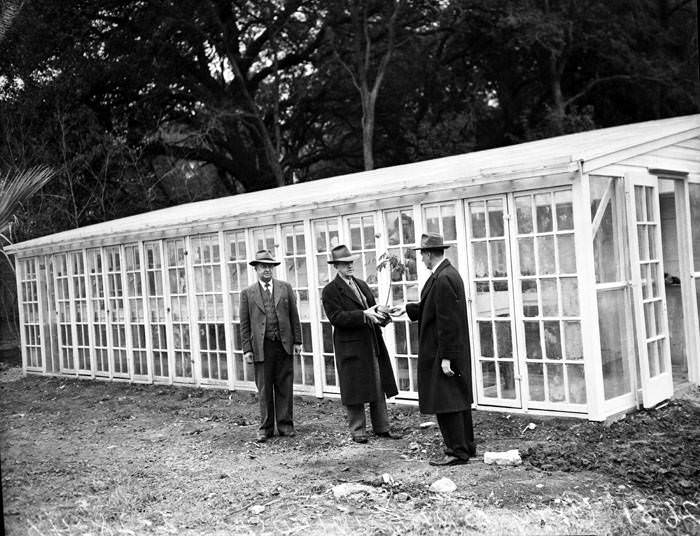 Exterior of recently completed greenhouse at Brackenridge Park, 1941