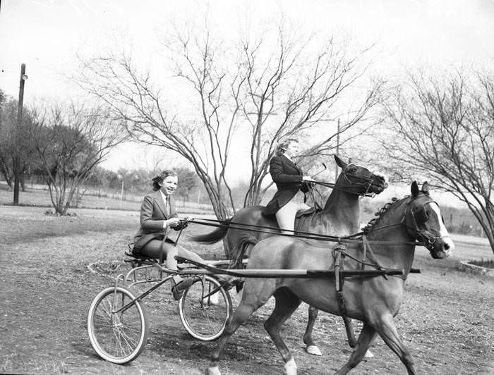 Hillje sisters with their horses, 1940