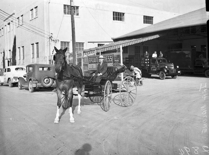 Ira Malone in horse-drawn buggy, 1942