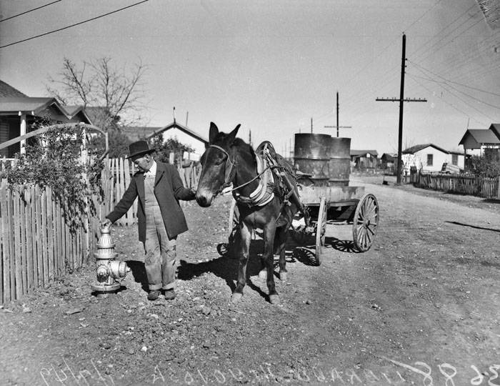 Librado Hinojosa with horse-drawn water cart, 1949
