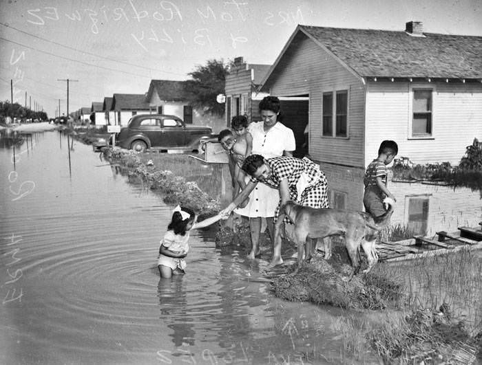 Family on flooded Flanders Street, 1946