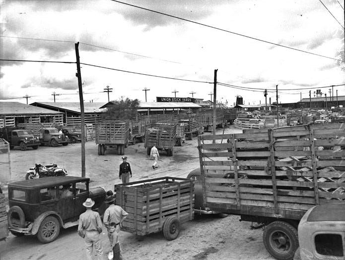 Scenes at Union Stock Yards, 1946