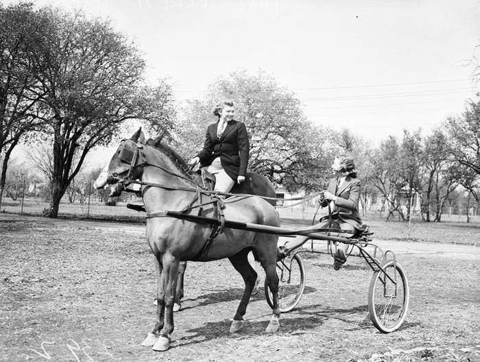 Hillje sisters with their horses, 1940