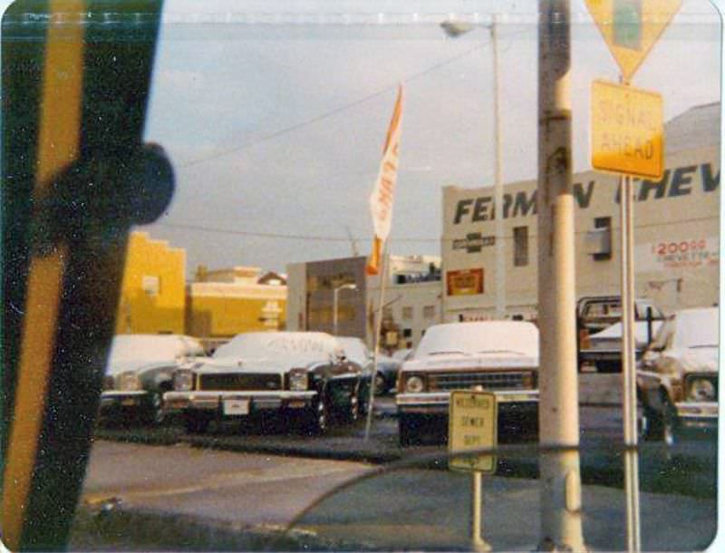 January 19, 1977: When the Snowfall in Miami for the First time in History