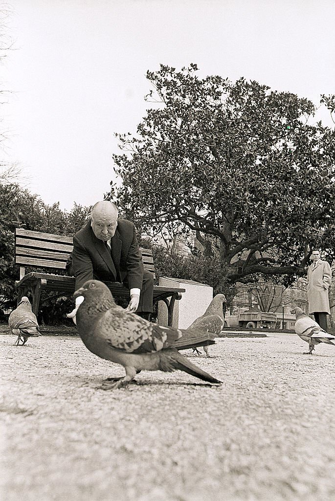 Alfred Hitchcock Feeding Pigeons While in Washington, DC to promote his film 'The Birds', 1963