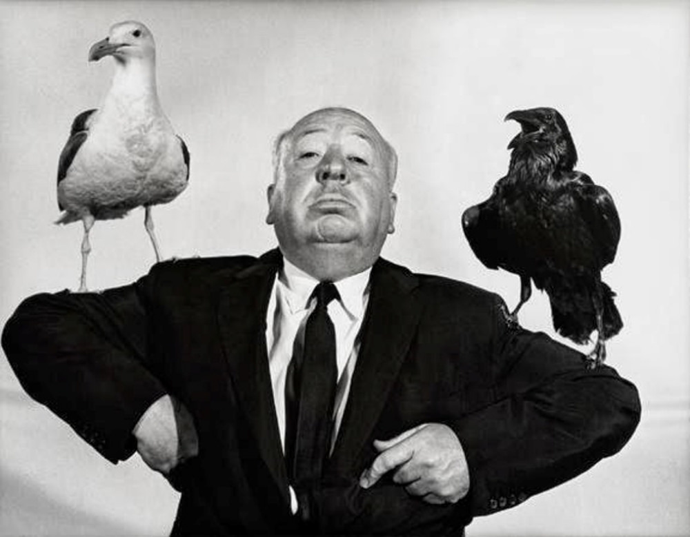 Stunning Stills and Portraits of Alfred Hitchcock Posing with Birds from the Movie 'The Birds (1963)'