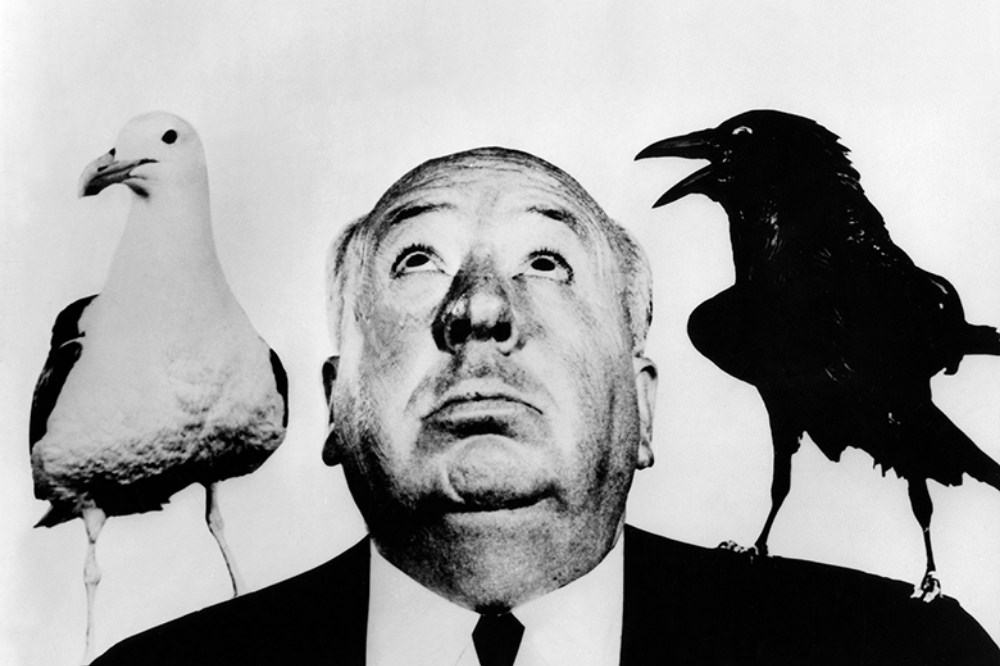 Stunning Stills and Portraits of Alfred Hitchcock Posing with Birds from the Movie 'The Birds (1963)'