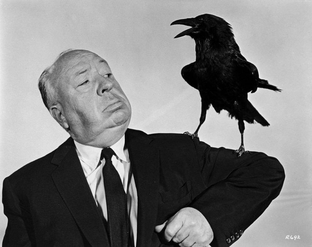 Stunning Stills and Portraits of Alfred Hitchcock Posing with Birds from the Movie 'The Birds (1963)'