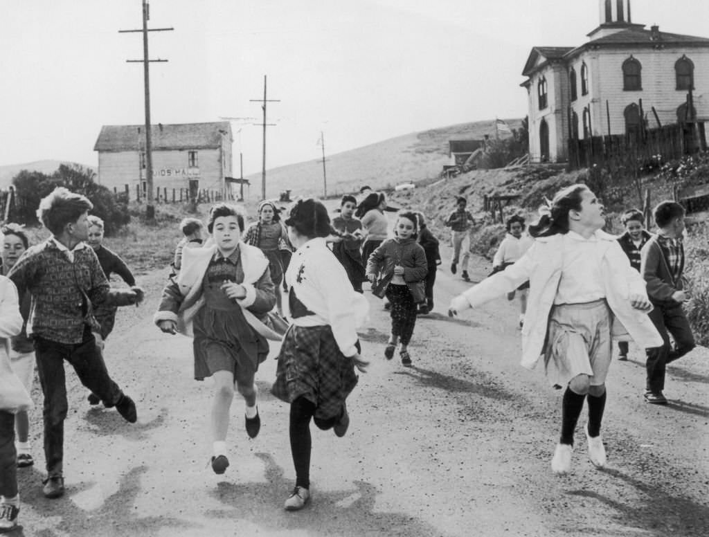 A group of schoolchildren flee the avian threat in a scene from 'The Birds', 1963