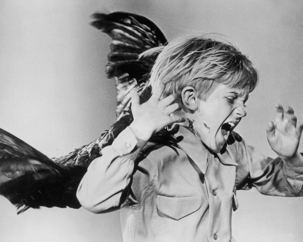 A little boy shrieks as a bird sinks its talons into his neck in a publicity still for 'The Birds', 1963