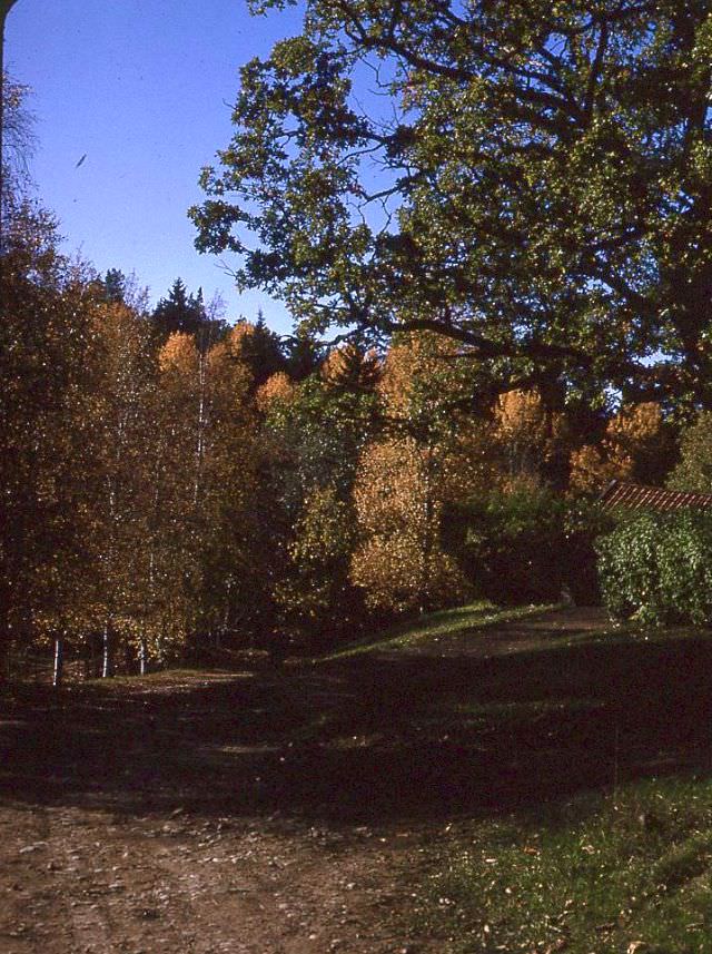 What Uppsala, Sweden looked like in the 1960s