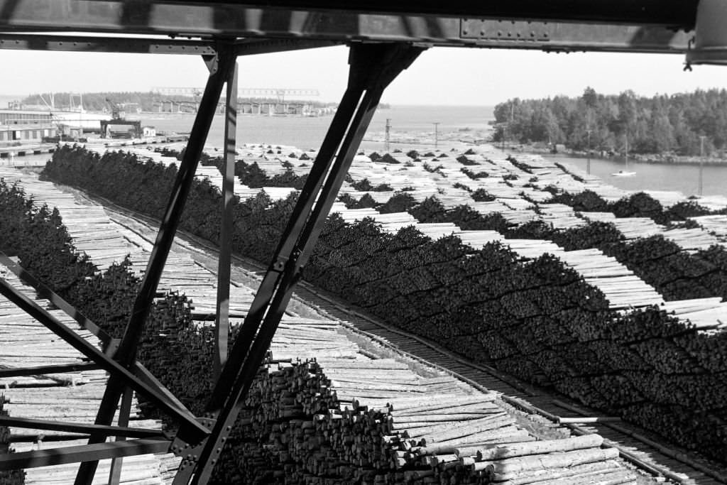 Woodchip on the beach at Norrsundet, Uppsala, Sweden, 1969.