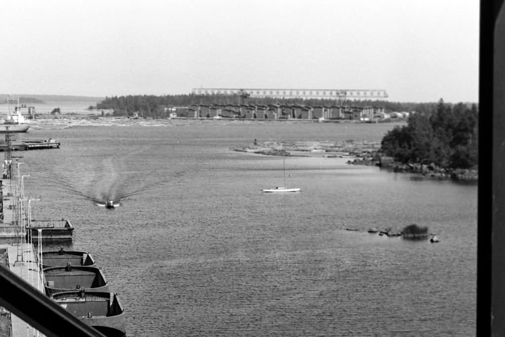 Woodchip on the beach at Norrsundet, Uppsala, Sweden, 1969.