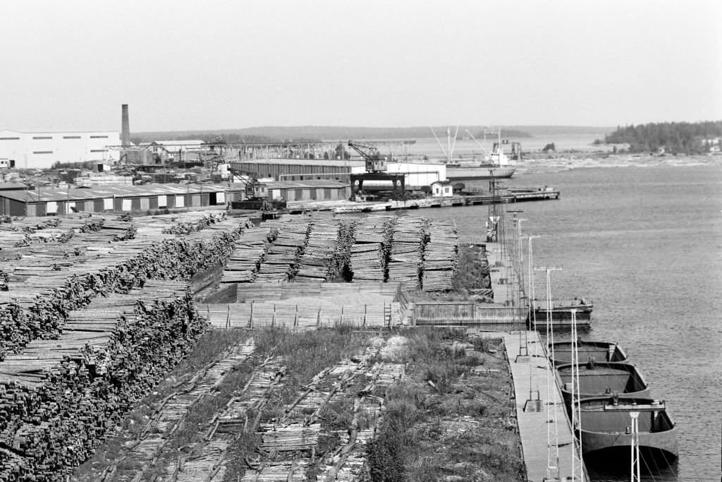 Woodchip on the beach at Norrsundet, Uppsala, Sweden, 1969.