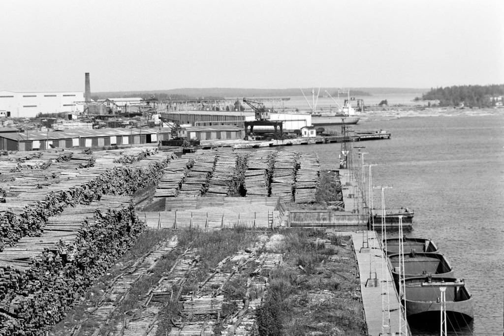 Woodchip on the beach at Norrsundet, Uppsala, Sweden, 1969.