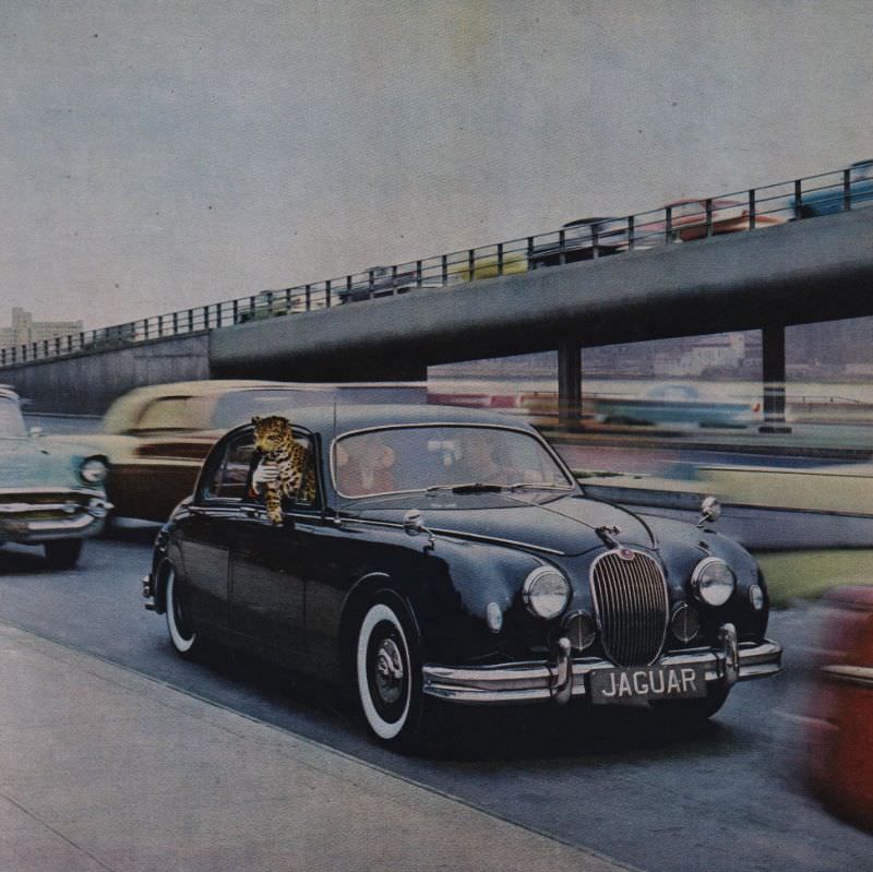 Only 7,500 Americans Can Get a New Jaguar This Year – 1959 Jaguar 3.4 Sedan.