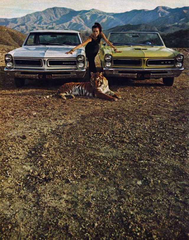 Quick Wide-Track Tigers Pontiac Lemans & GTO.