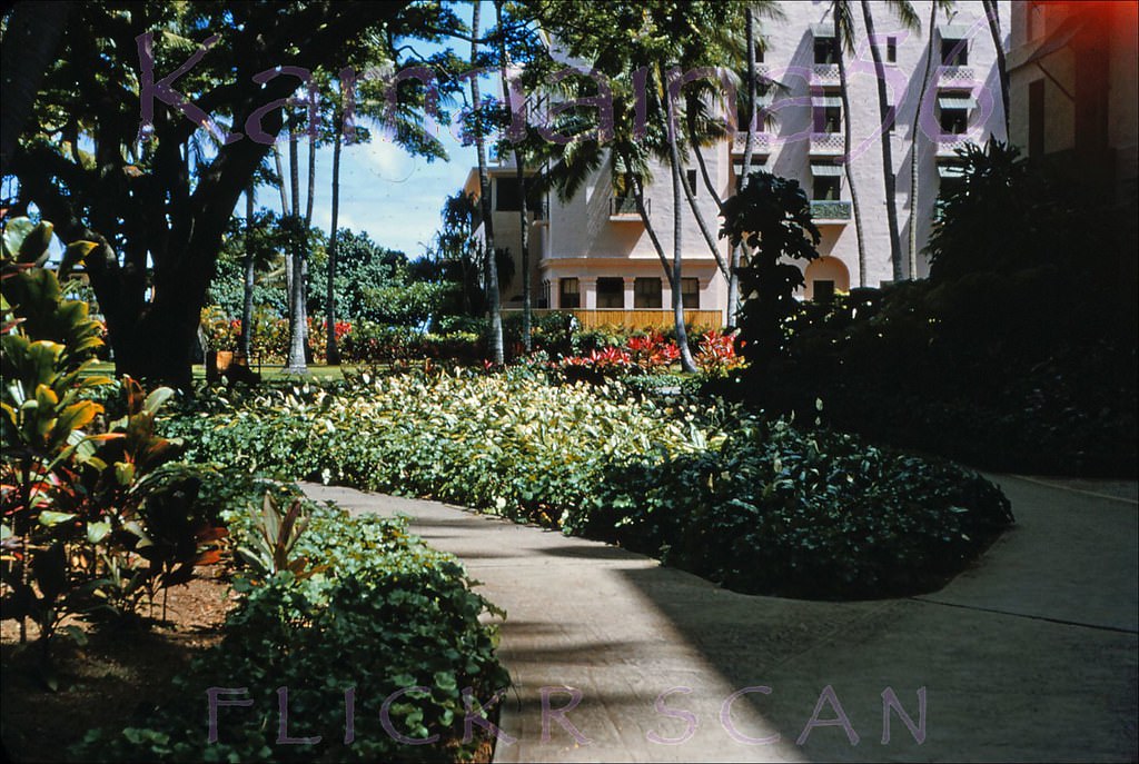 Lush tropical gardens on the town side of the Royal Hawaiian Hotel, 1955