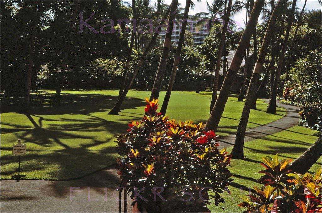 The Princess Kaiulani Hotel can be glimpsed across Kalakaua Avenue in the heart of Waikiki, 1964