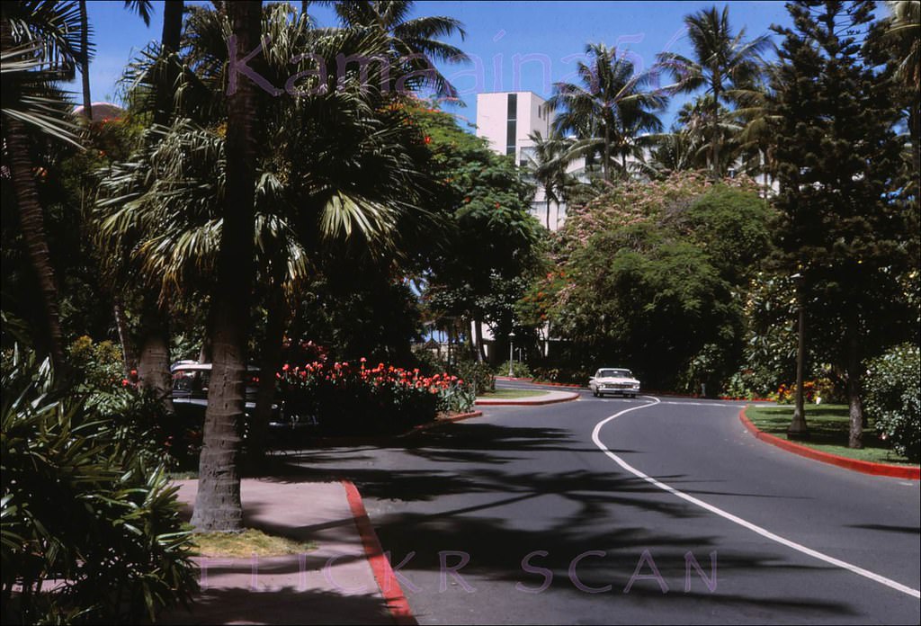 Royal Hawaiian Driveway, 1964.
