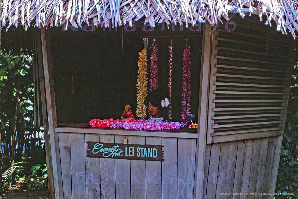 Pretty lei seller at an unidentified location but probably somewhere on Waikiki’s Kalakaua Avenue, 1963