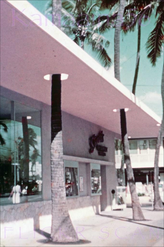 Stewarts Pharmacy located in the 1950 Watumull Beach Shops with their distinctive palm tree pukas, 1952