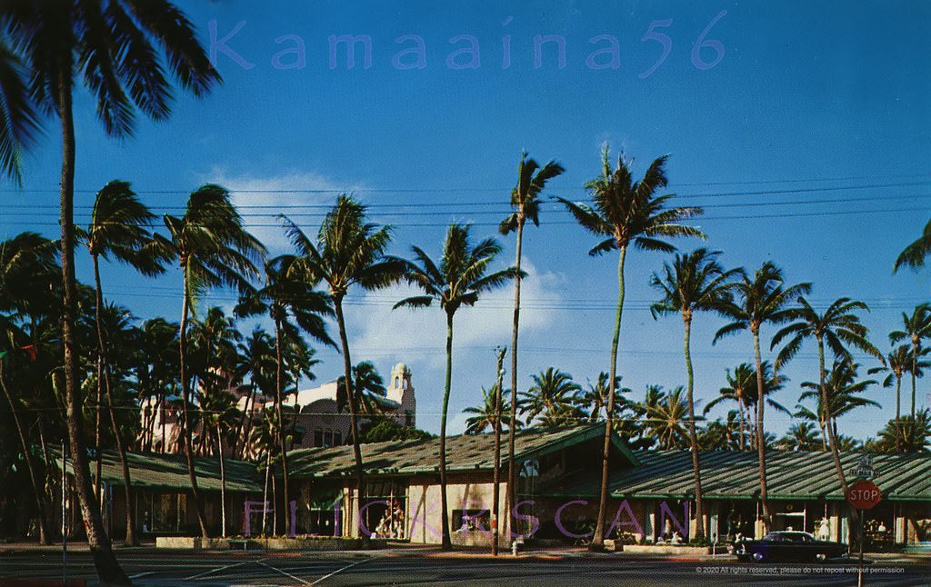 Late afternoon light at the McInerny department store building makai side Kalakaua Avenue at Seaside Avenue, 1958